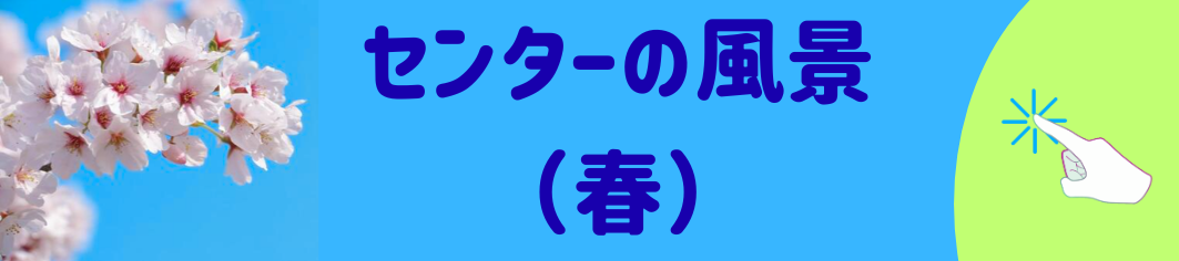 センターの四季