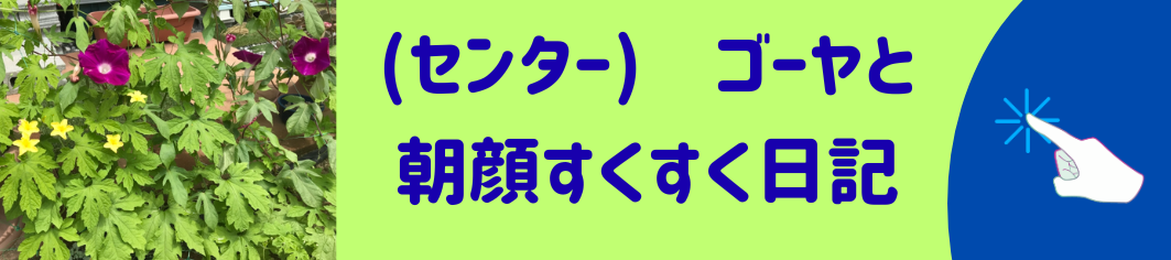 バナーセンターゴーヤと朝顔